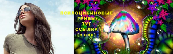 гидропоника Наволоки