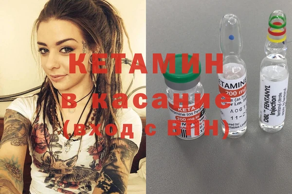сатива Надым