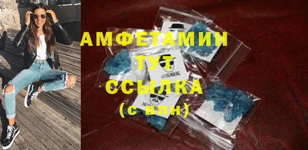 сатива Надым