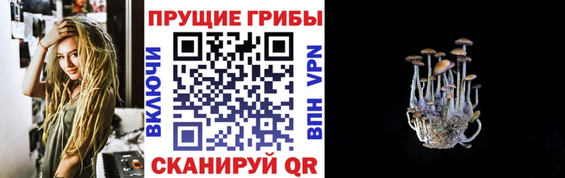 Галлюциногенные грибы ЛСД  Козельск 